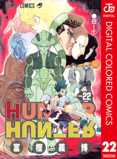 HUNTER×HUNTER カラー版（22）