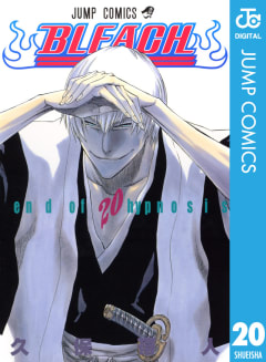 BLEACH モノクロ版（20）