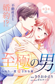 至極の男～もう一度愛される夜［ｃｏｍｉｃ　ｔｉｎｔ］　分冊版　3巻