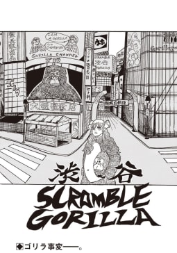 渋谷 SCRAMBLE GORILLA