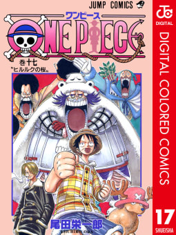 ONE PIECE カラー版（17）