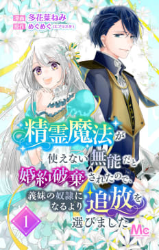 精霊魔法が使えない無能だと婚約破棄されたので、義妹の奴隷になるより追放を選びました