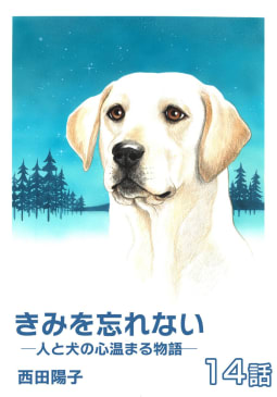 きみを忘れない  -人と犬の心温まる物語-　第14話【単話版】