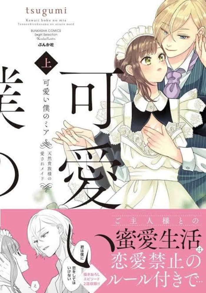 TLなので違うとは思いますが『可愛い僕のミア』。タイトルにメイドは入っていませんが、副題が【天...