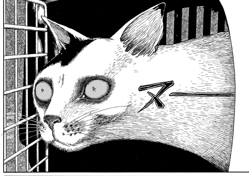 ホラー漫画家が猫エッセイを描いたらギャグ漫画になった 伊藤潤二の猫日記 よん むー 感想 マンバ