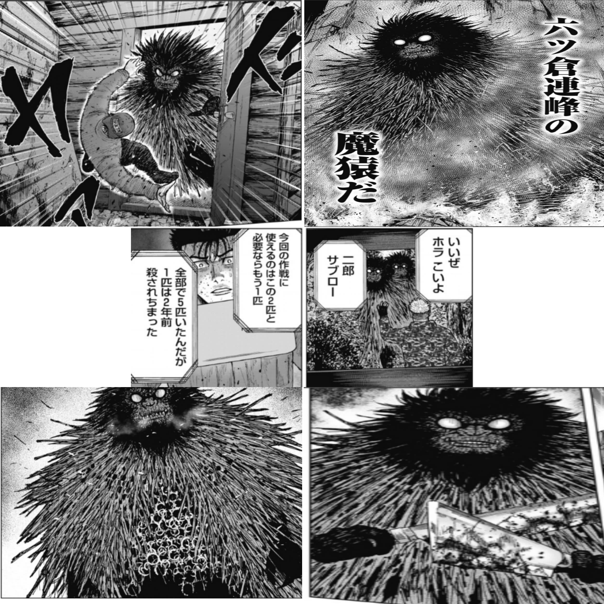 やっぱりそうですよね。

二郎は次号辺りで死んで、5匹目、最後の魔猿が出てくる展開かな？
...