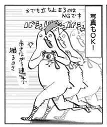「トクサツガガガ」では、作者の
丹羽庭先生が ニワトリの姿で登場
する。
