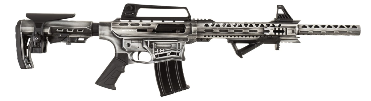 WALTTER - SILVER ESKİTME