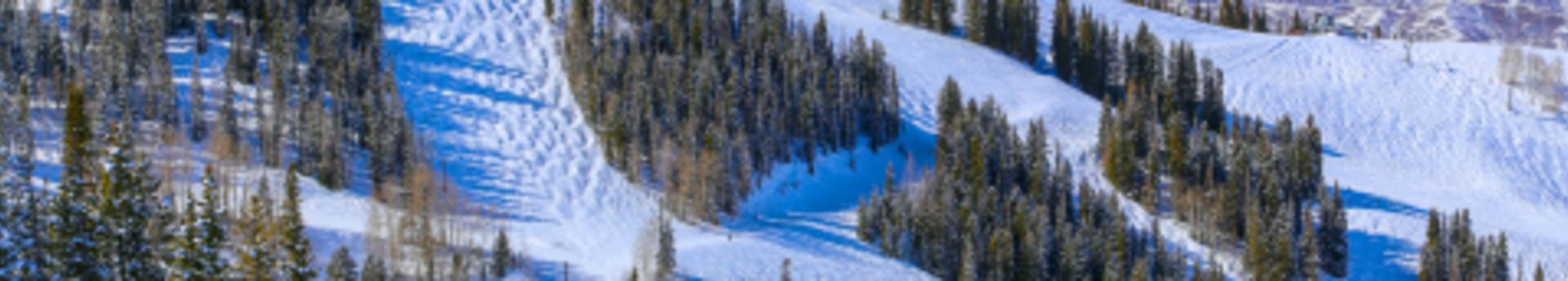 Mountain lodge nestled between snow-covered slopes and pine trees