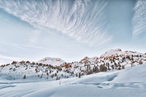Snow-covered landscape with tree-lined mountains and scattered trees.