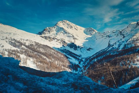 Sunlit snow-covered mountain peaks with a deep valley filled with pine trees