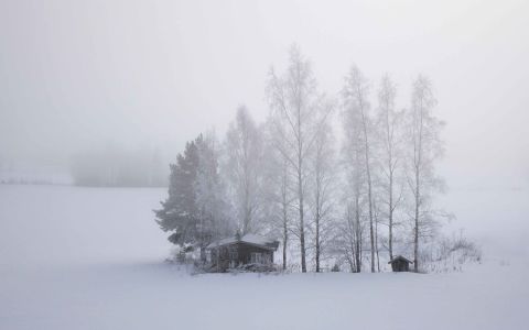 Snowy landscape with pine trees and a chalet