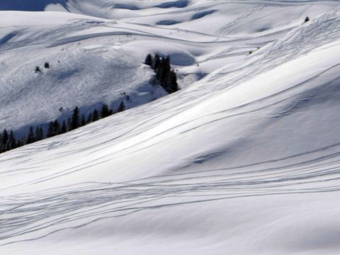 Fresh ski tracks on powder snow