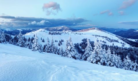 Snow-covered landscape at Donovaly ski resort in Slovakia, with frost-laden pine trees and rolling hills under a blue winter sky.