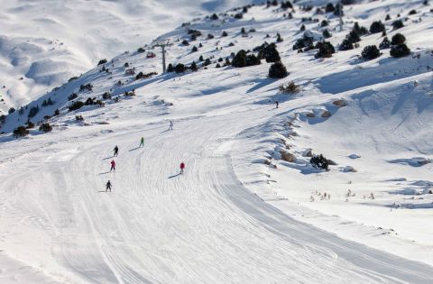 Group of skiers enjoying a wide, gently sloping piste surrounded by snow-covered hills and scattered alpine trees under a clear winter sky.