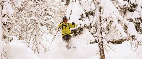 Snowy alpine resort showing the best time to go skiing