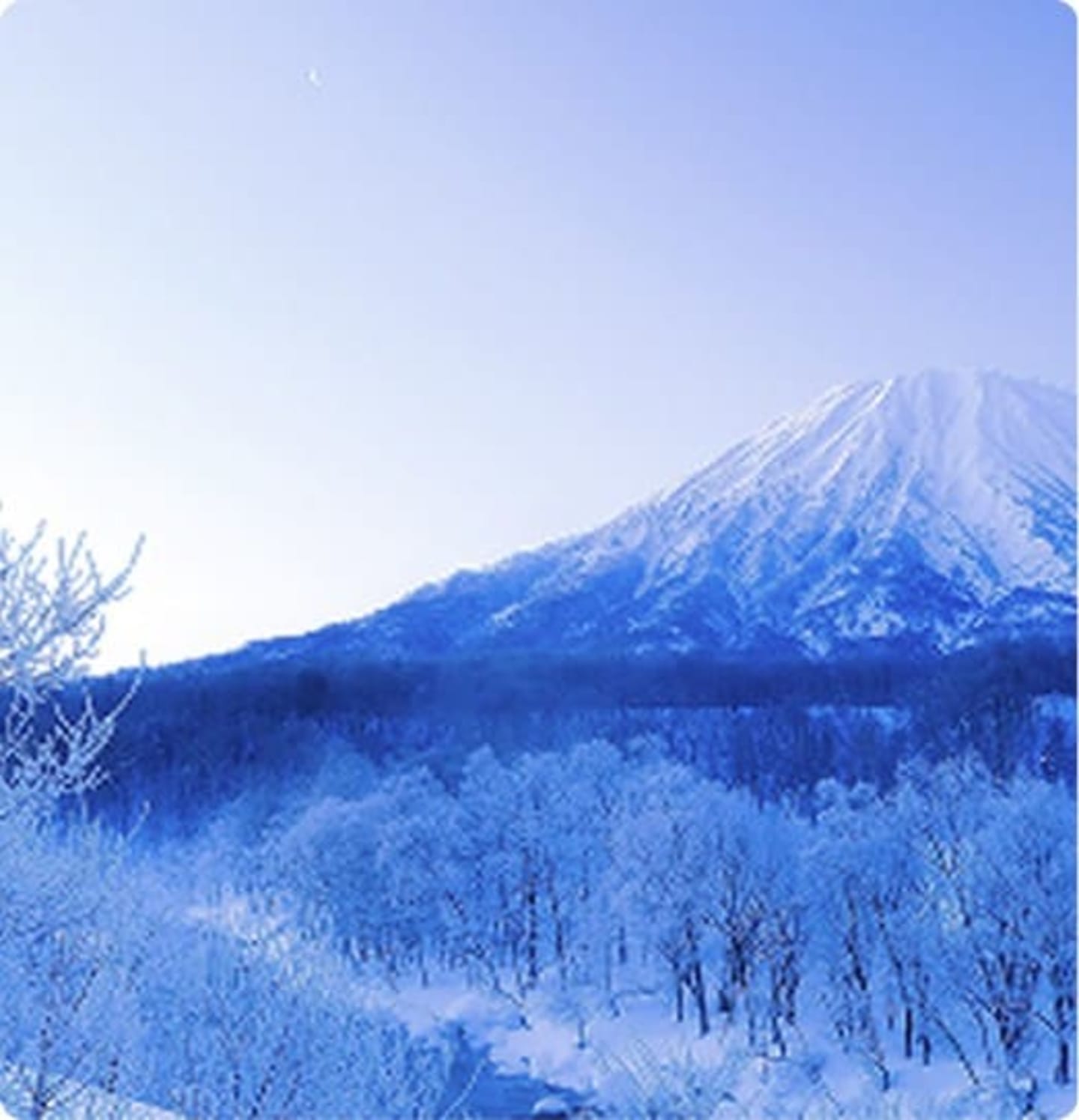 Mount Yotei volcano in Niseko, Japan, viewed across a frosted forest