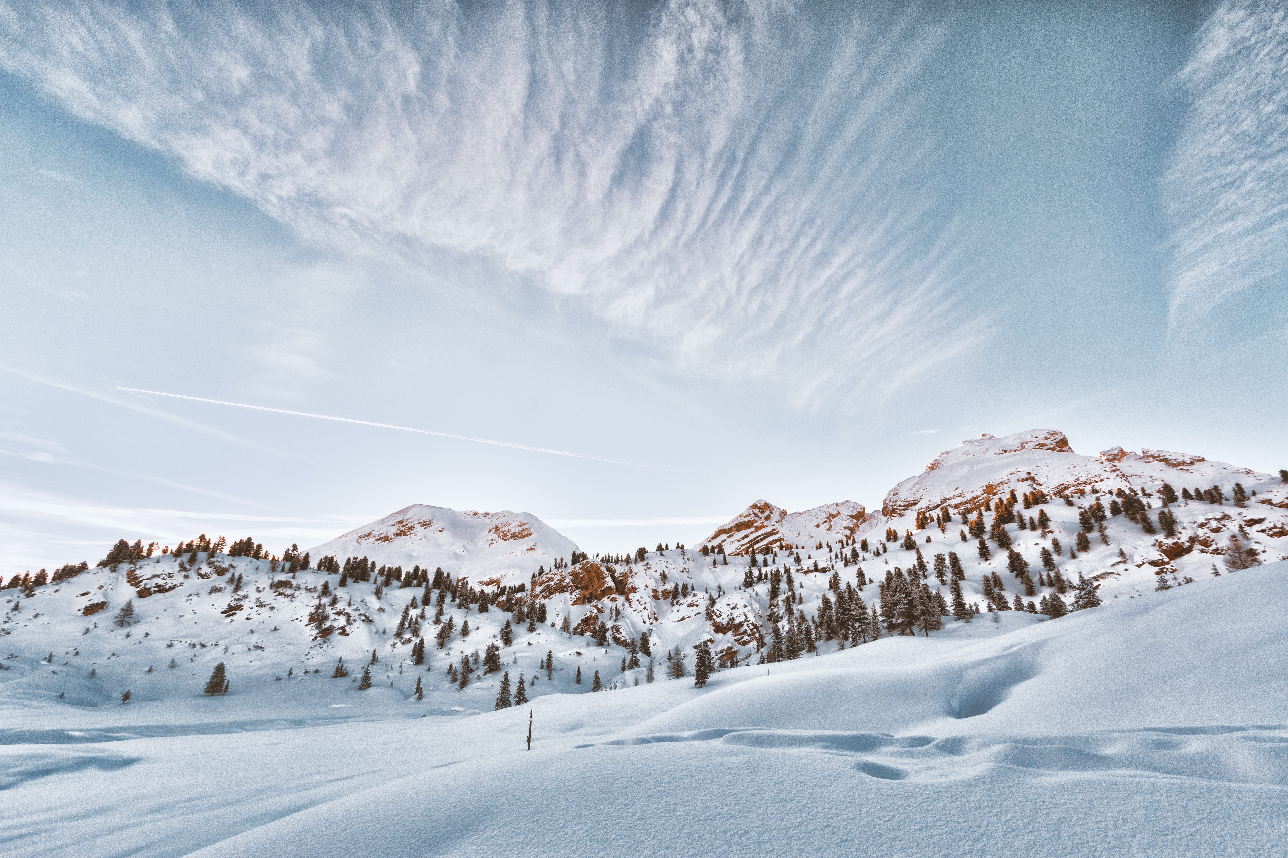 Snow-covered landscape with tree-lined mountains and scattered trees.