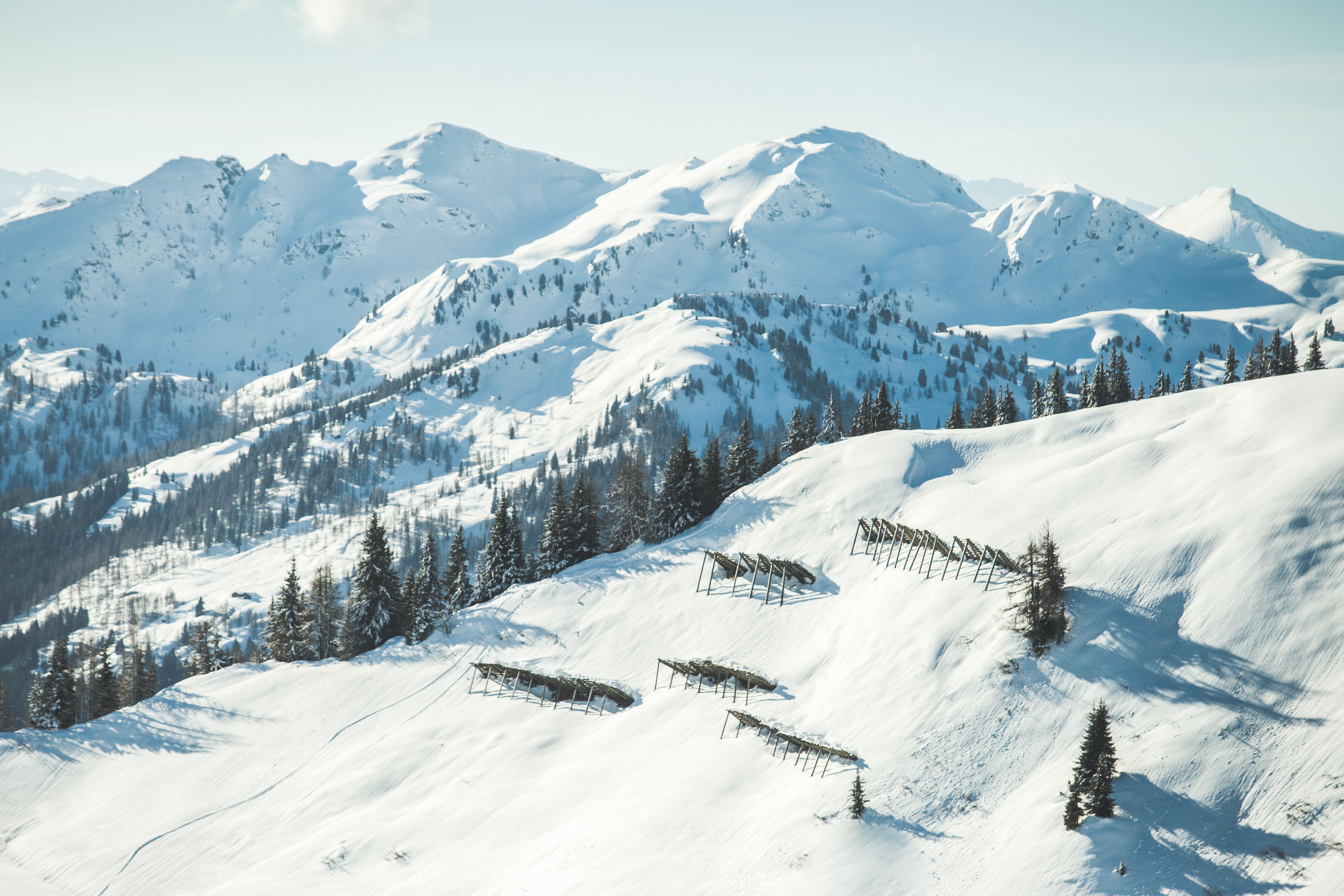 Bright winter day with snow-covered trees and distant snowy mountains under a clear blue sky.