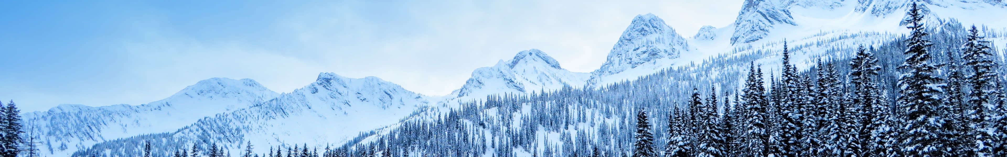 Whistler ski resort