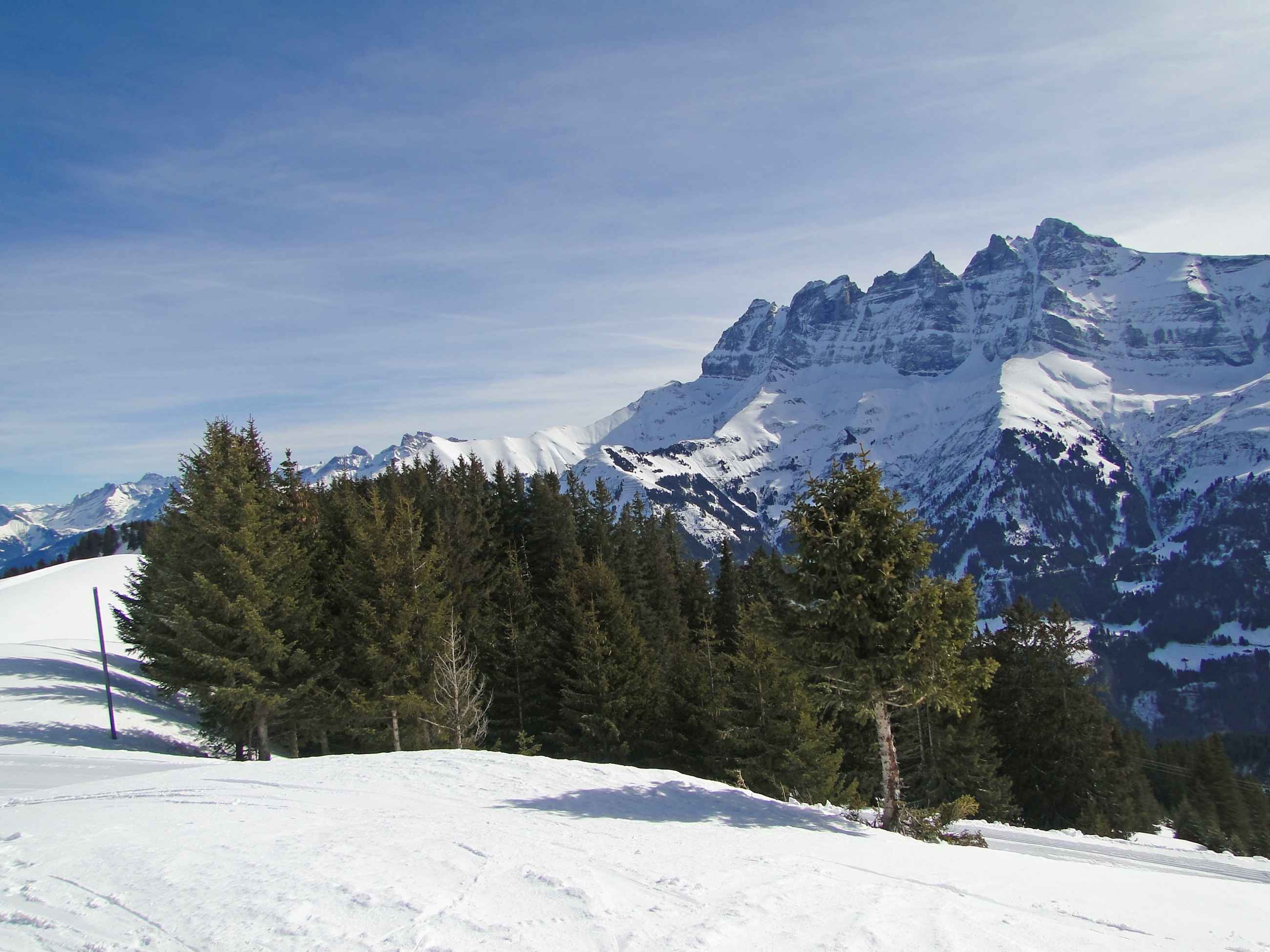 Snowy slopes and trees in the Belleville valley