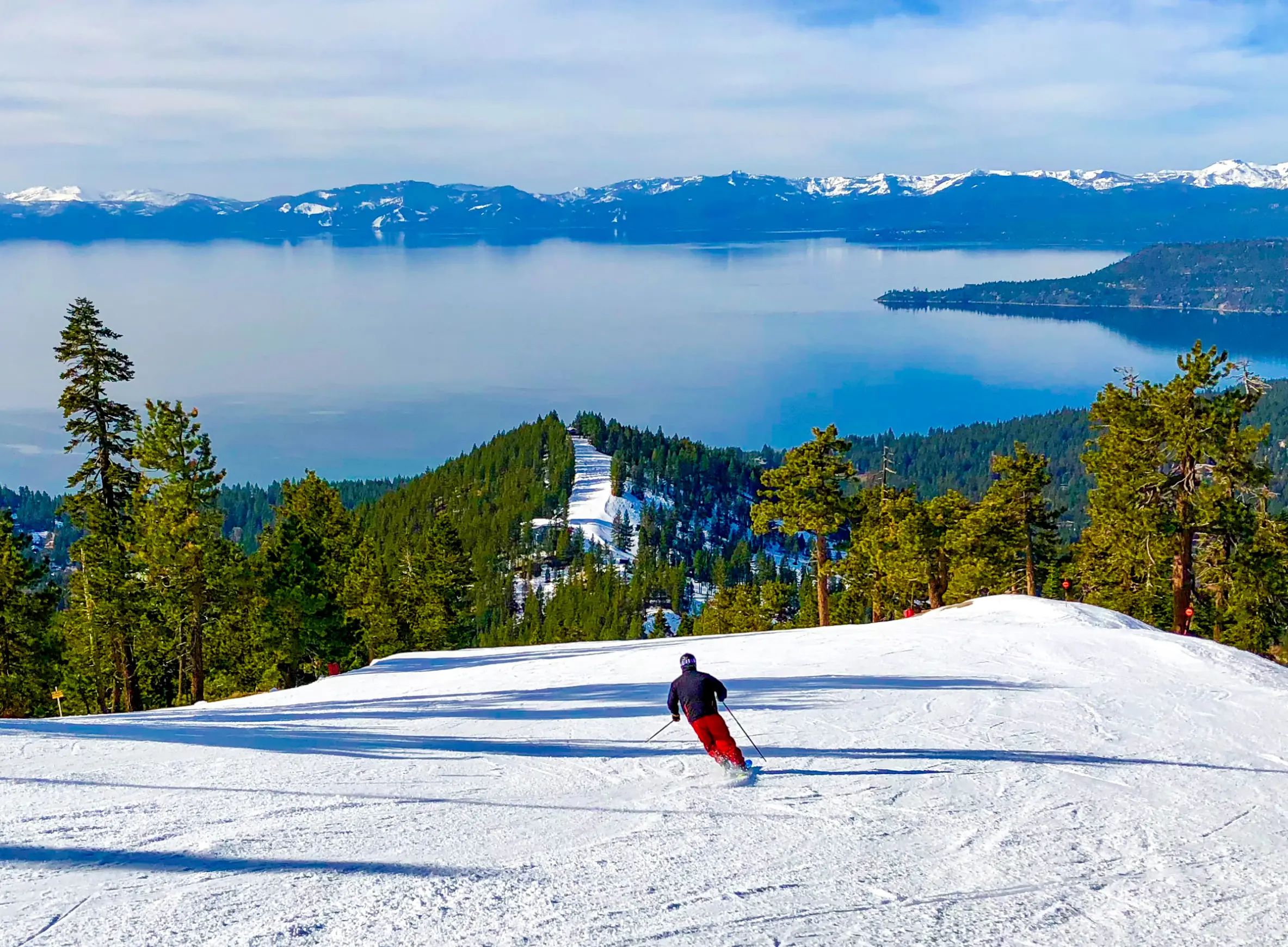 PRESIDENTS' DAY DEALS