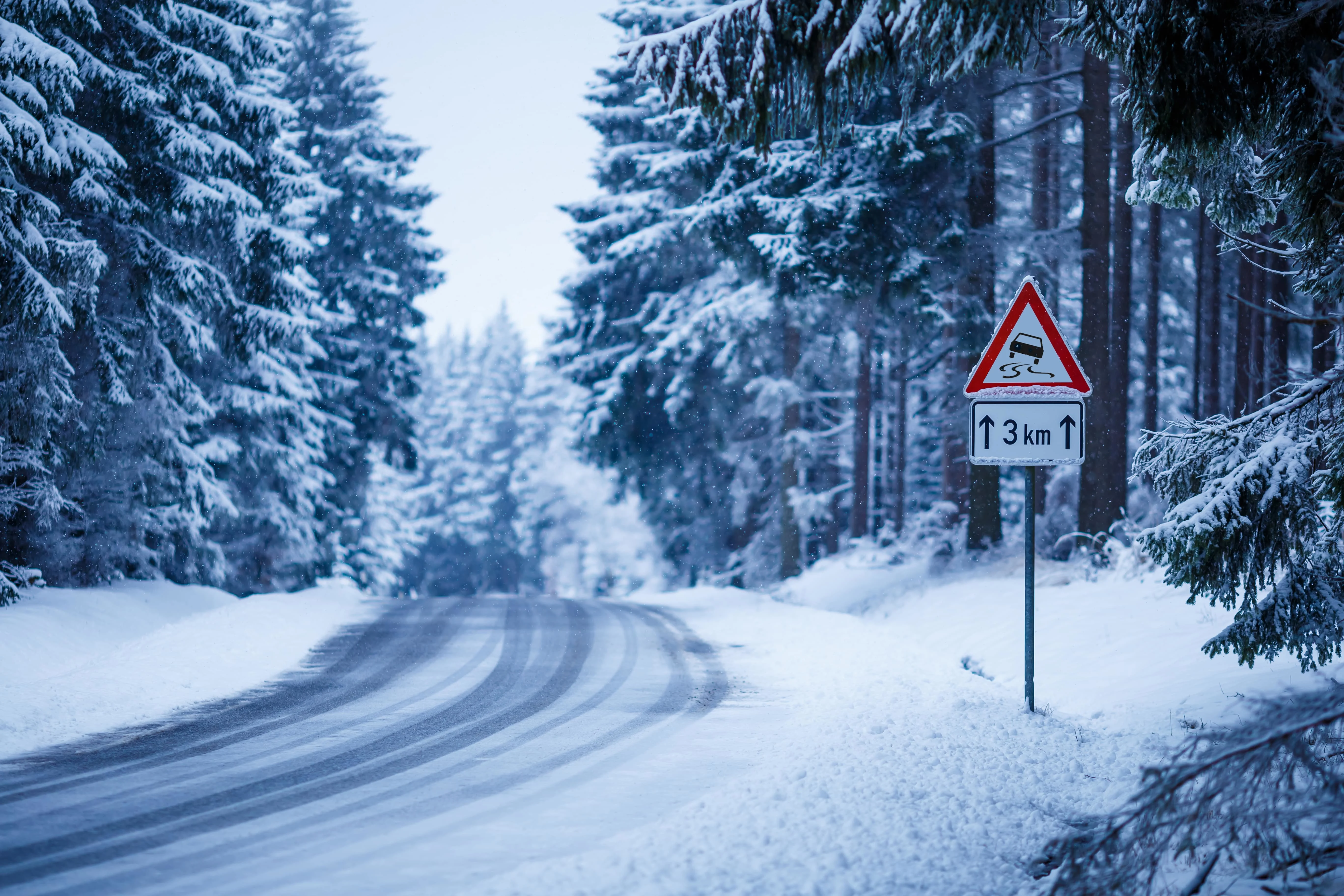 Icy road winding through a snow-covered fir tree forest