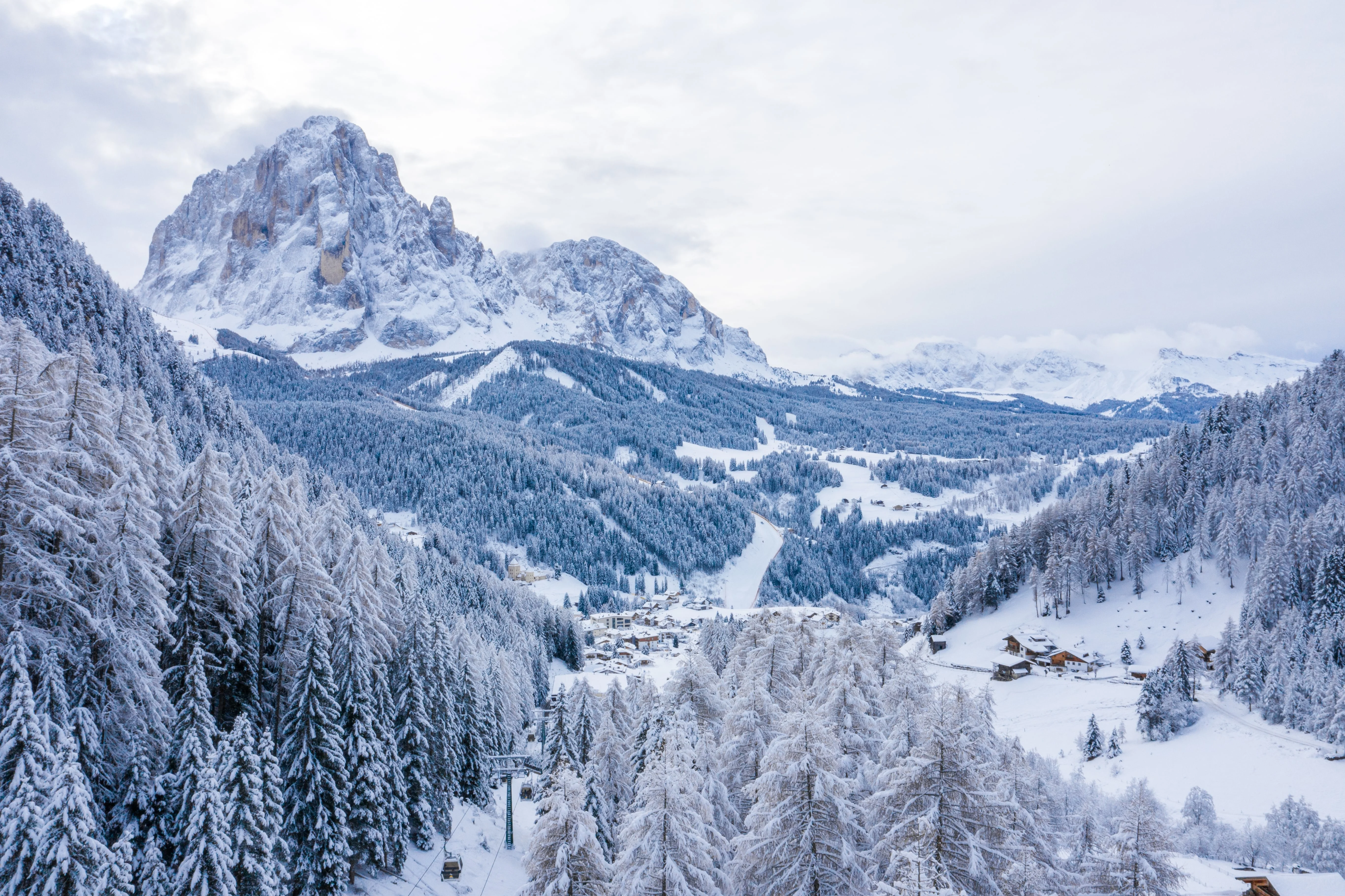 Snow-covered trees and rugged mountain peaks on a clear winter day