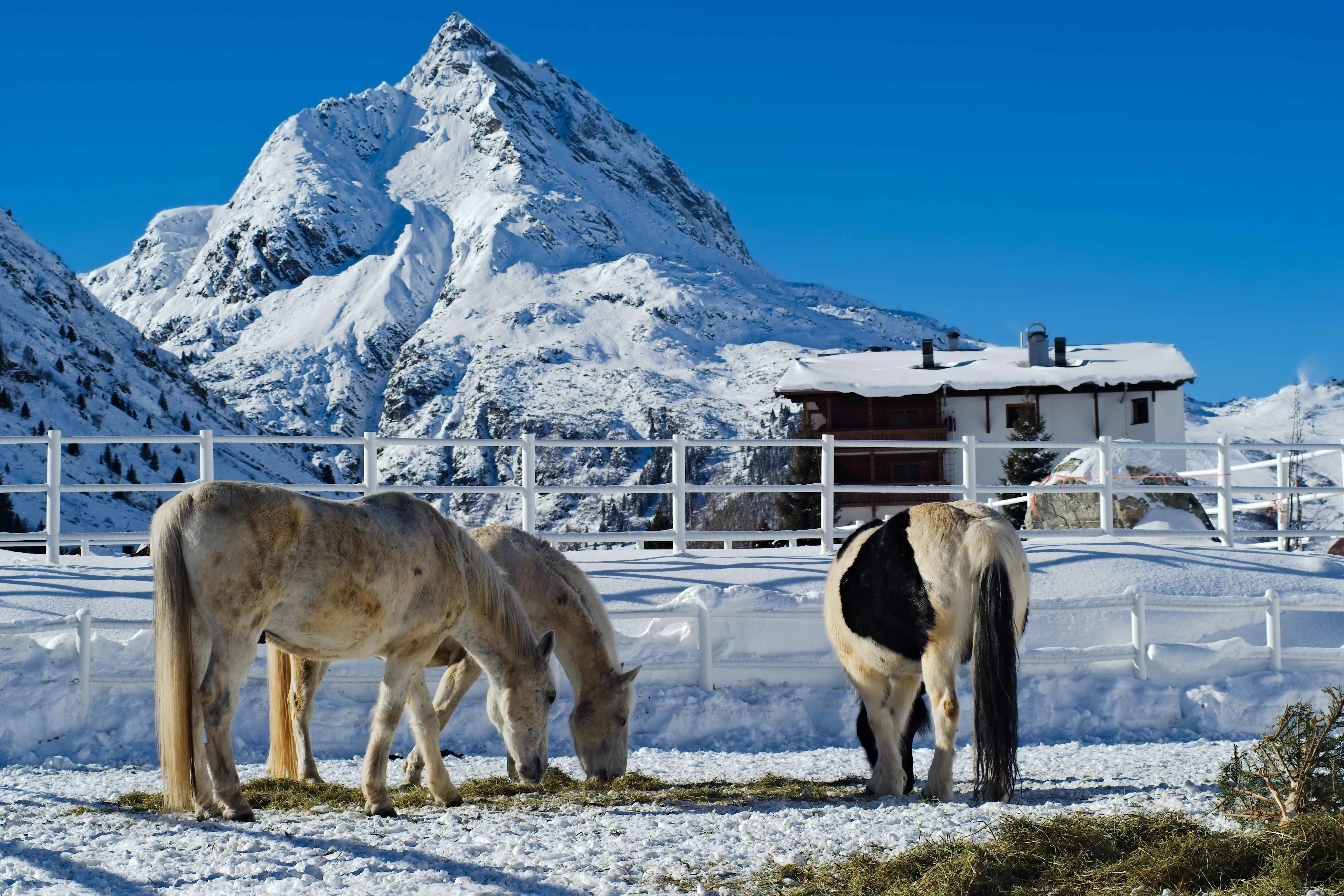 Galtur Austria winter scene