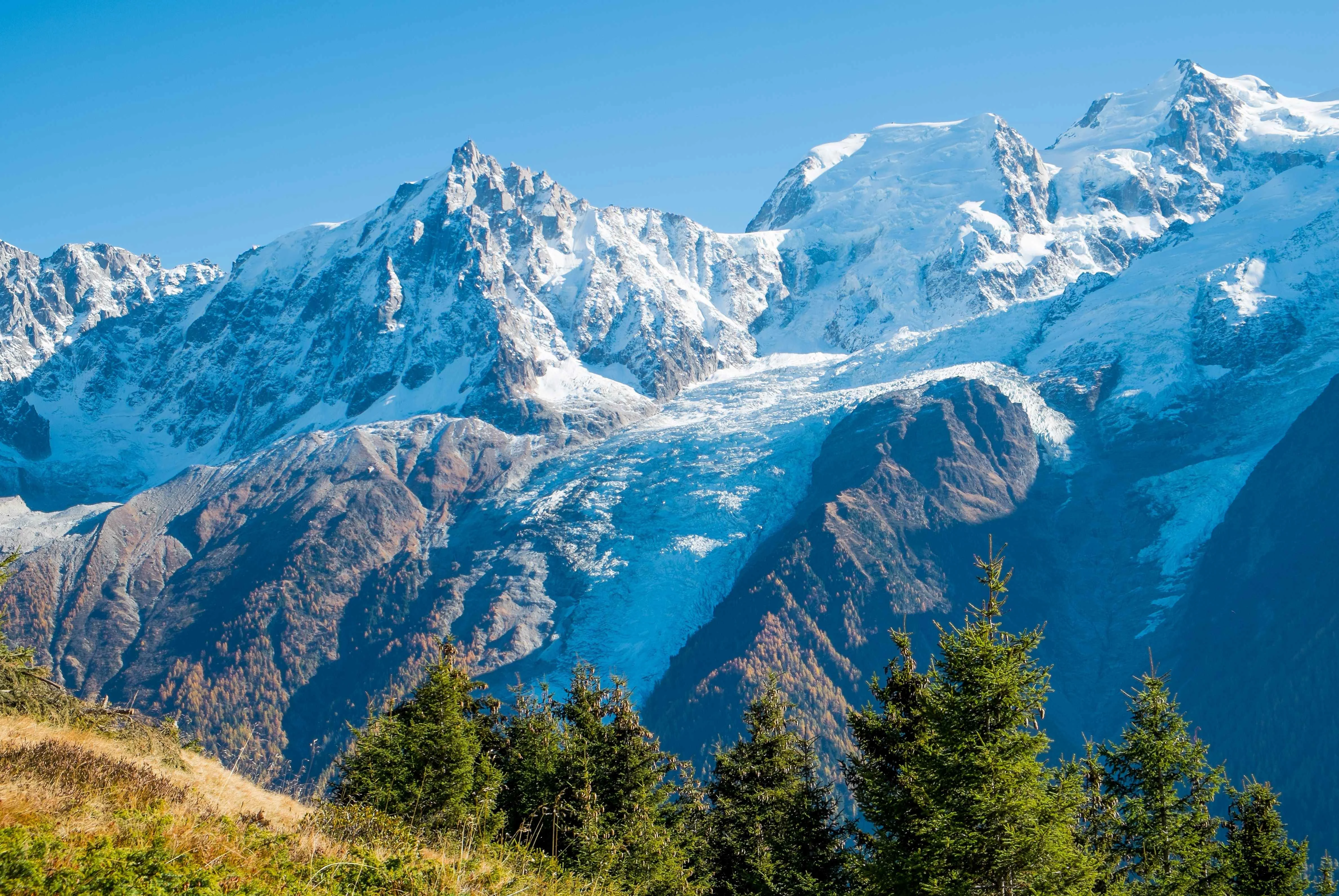 Mont Blanc on the background with snowy peaks and a pine forest 