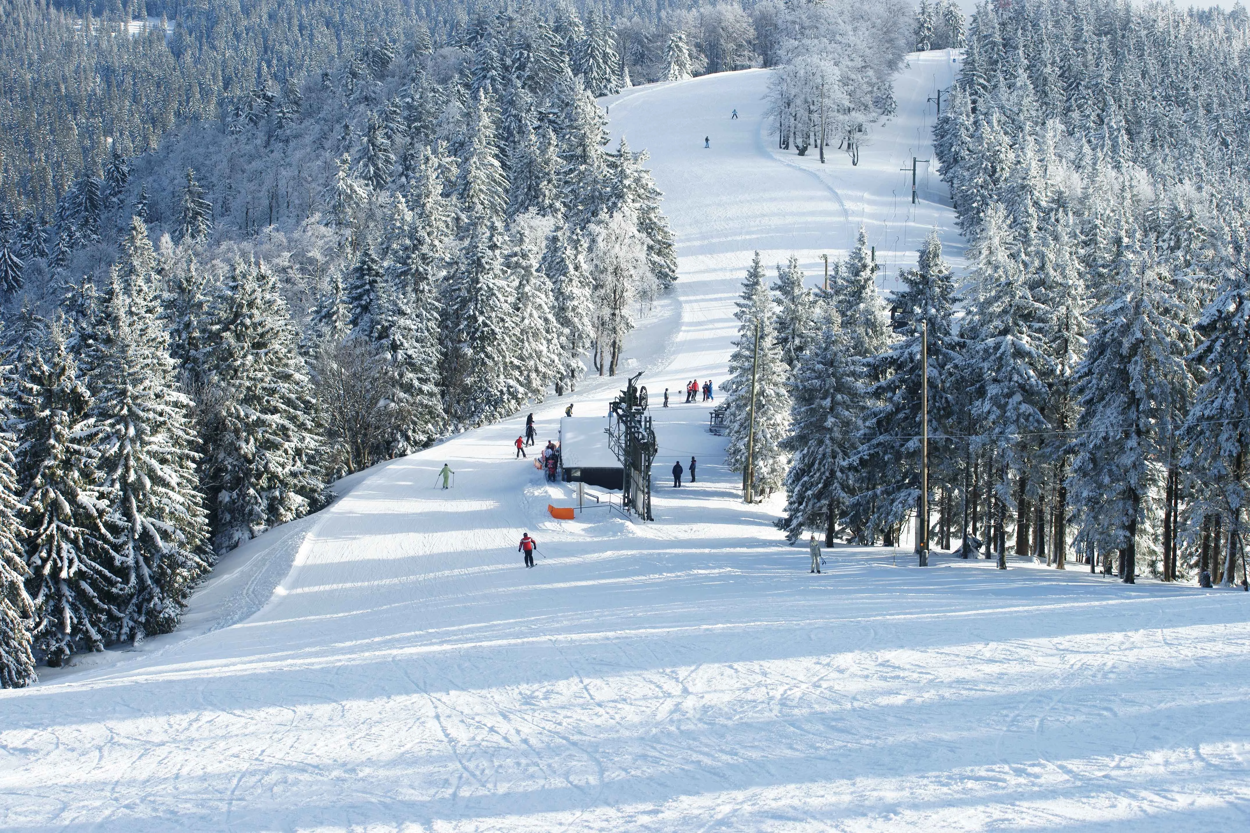 skiers descending a piste surrounded by lush pine forests