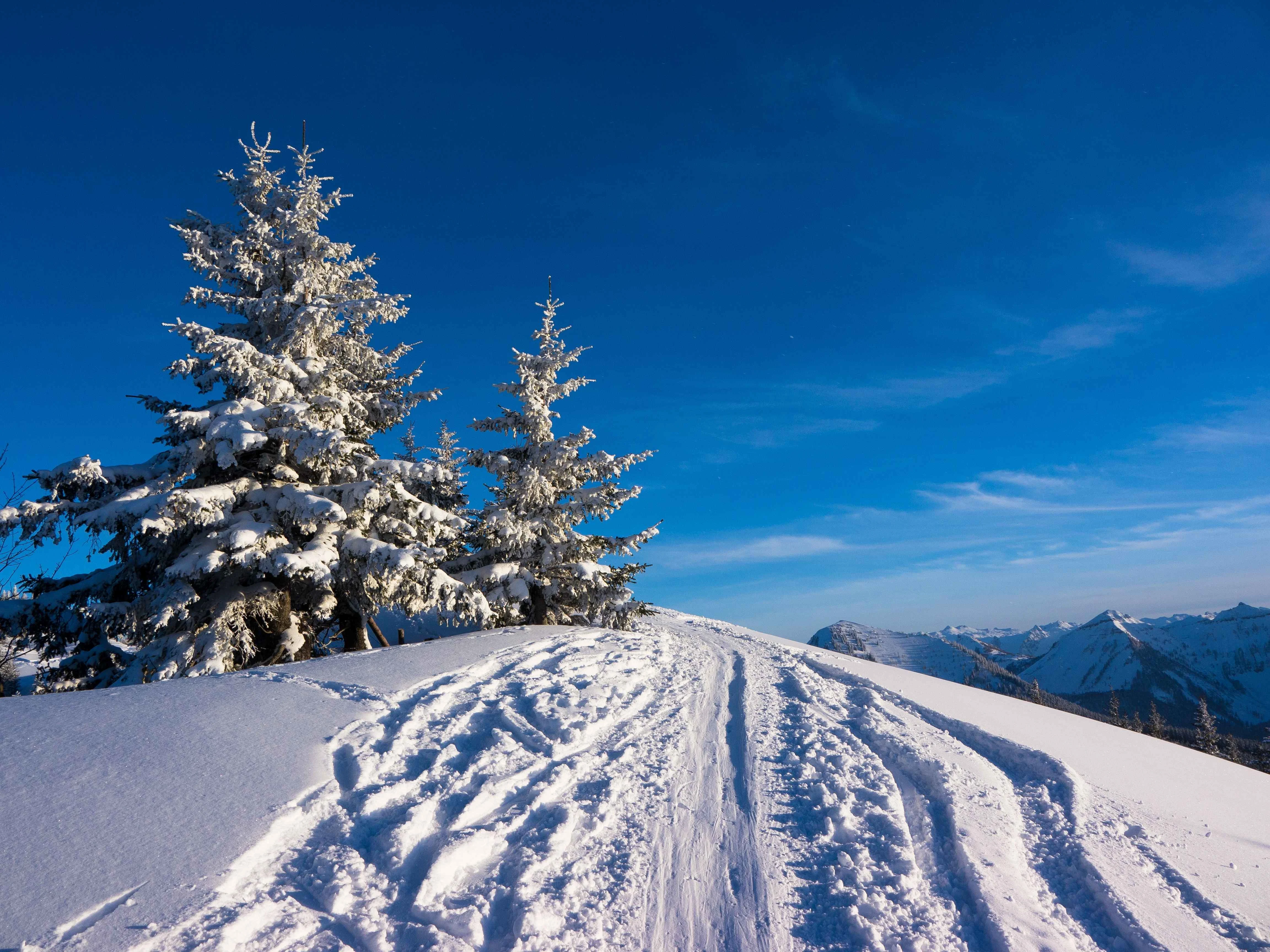Snow-covered summit with ski tracks and frosted pine trees in the Austrian Alps