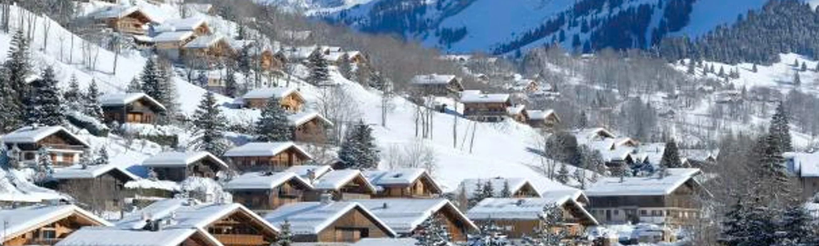 Snow-covered chalets in La Clusaz on a forested mountainside