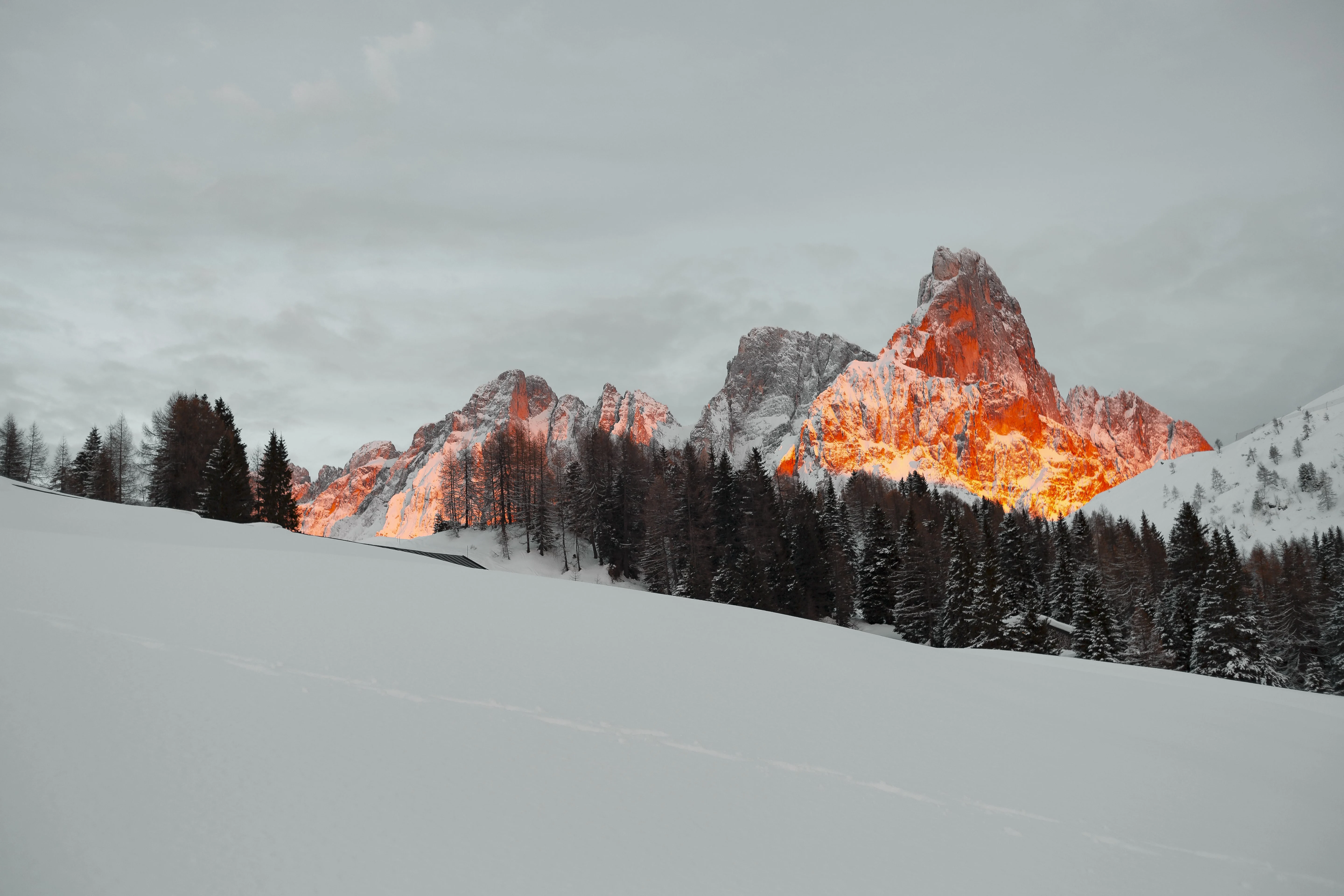 Alpine mountain peaks glowing orange as the sun sets, with a snowy foreground and trees