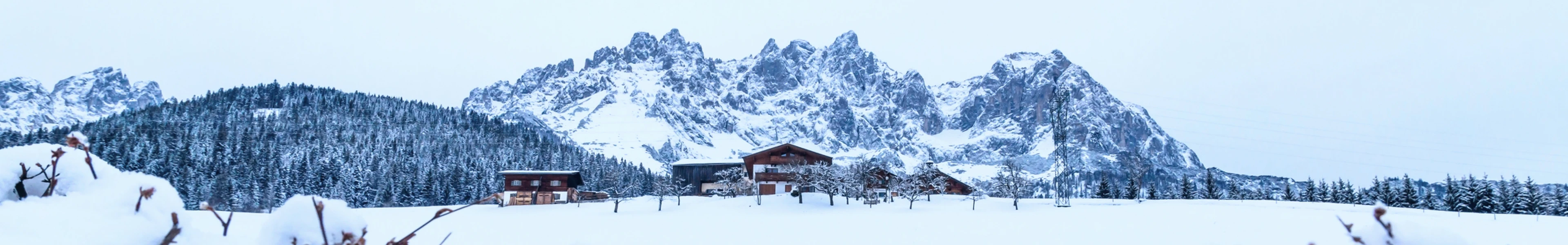 Going ski resort