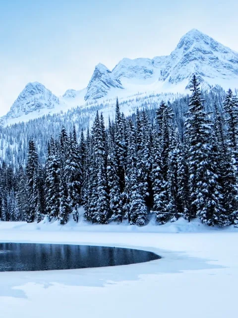 Fernie ski resort