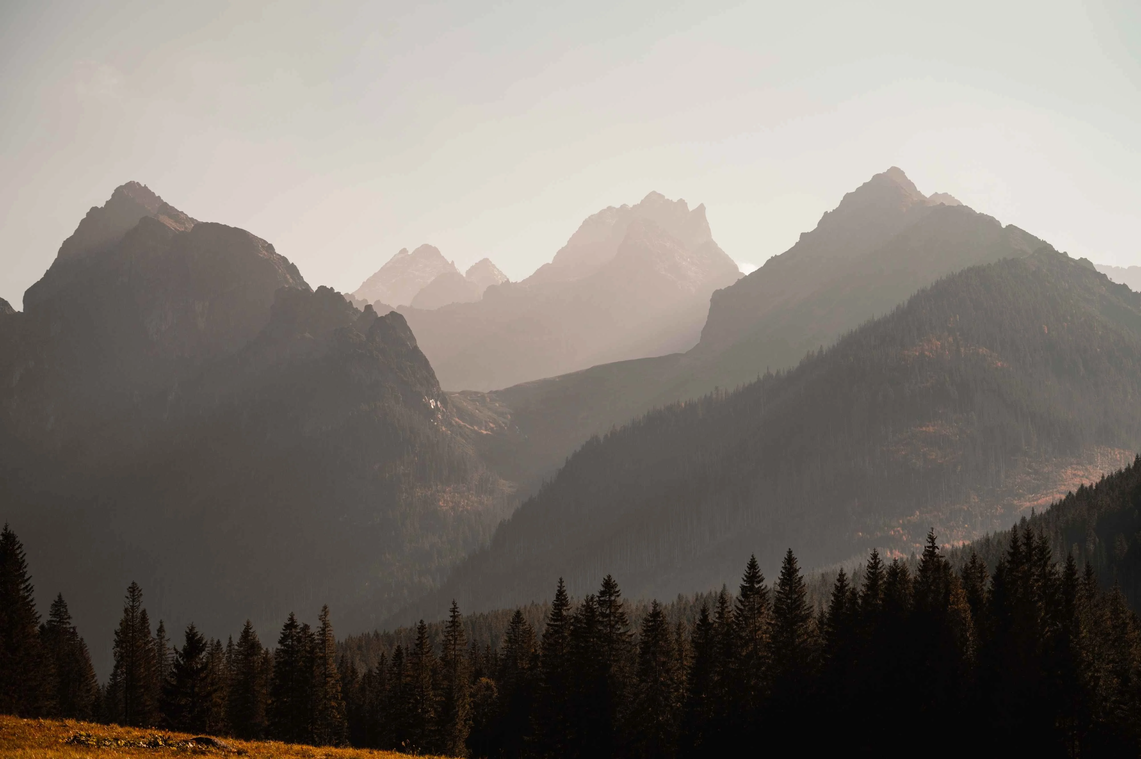 Sunset over Bielovodská Valley in the High Tatras, Slovakia, with layered mountain silhouettes and dense pine forest in the foreground