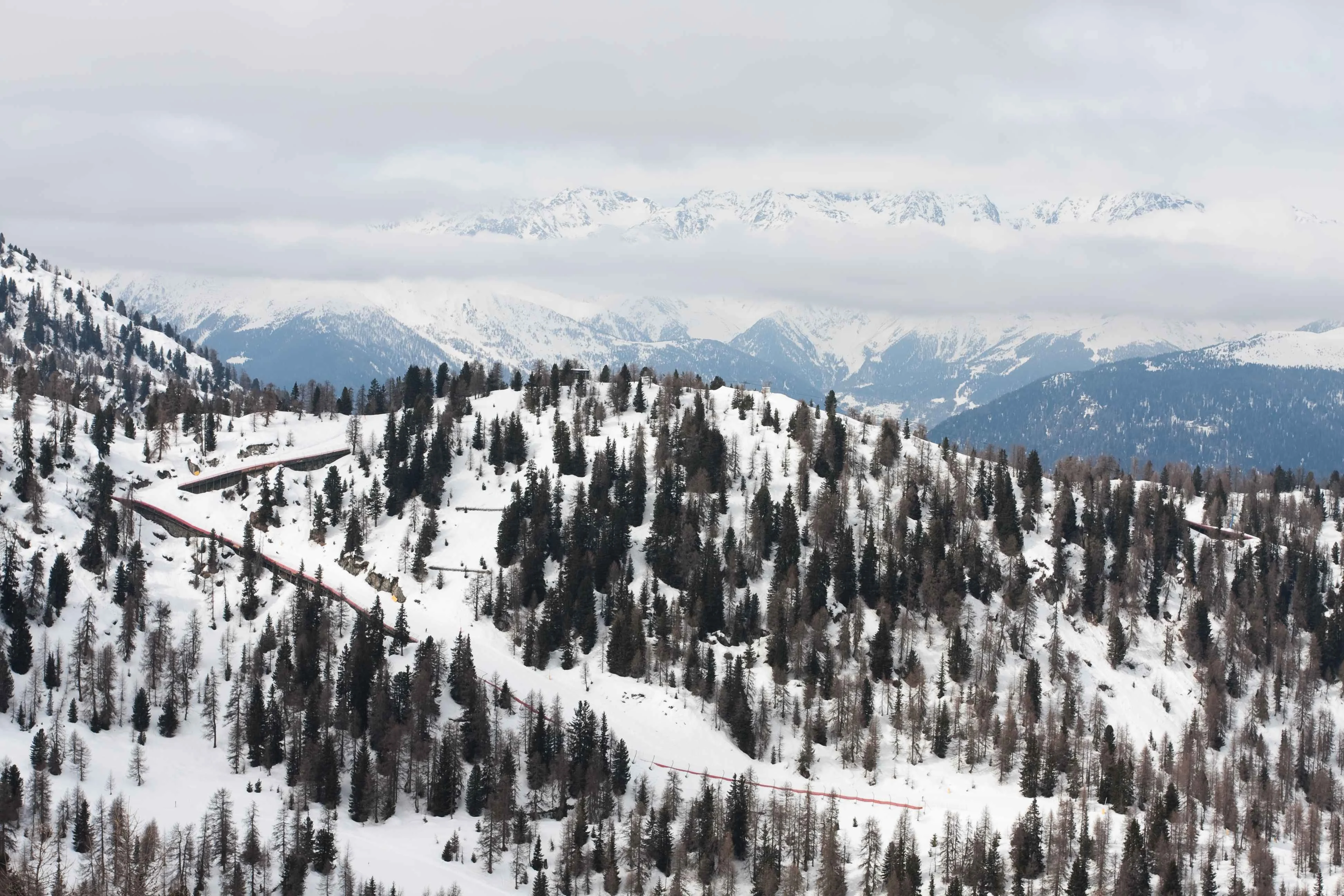 Snow-covered forested slopes in Val di Sole, Trentino, with scattered pine trees and misty mountain peaks in the background under a cloudy winter sky.