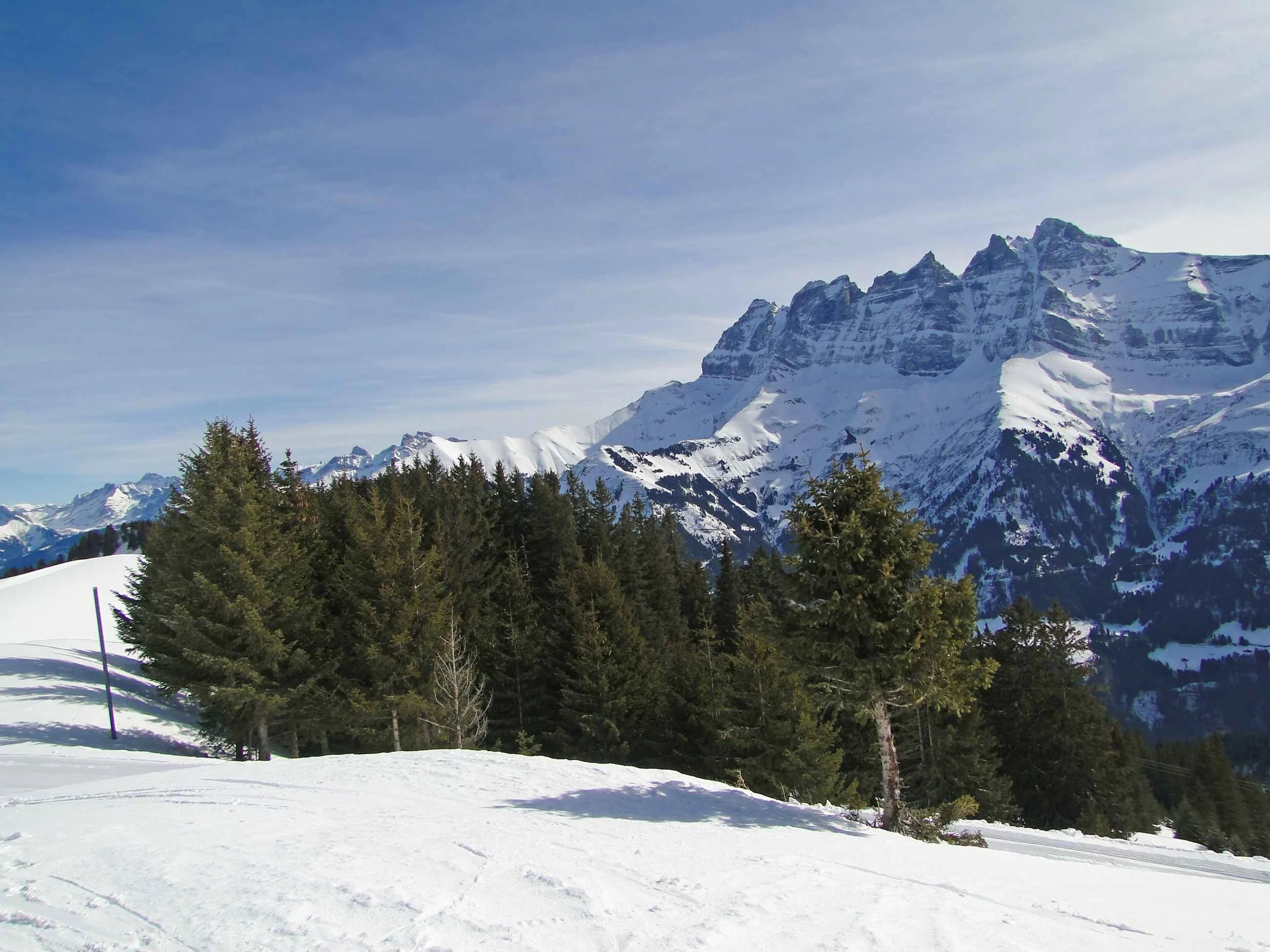 Snow covered slopes and evergreen trees beneath the dramatic peaks of the French Alps, with Les Dents du Midi rising in the background under a crisp winter sky