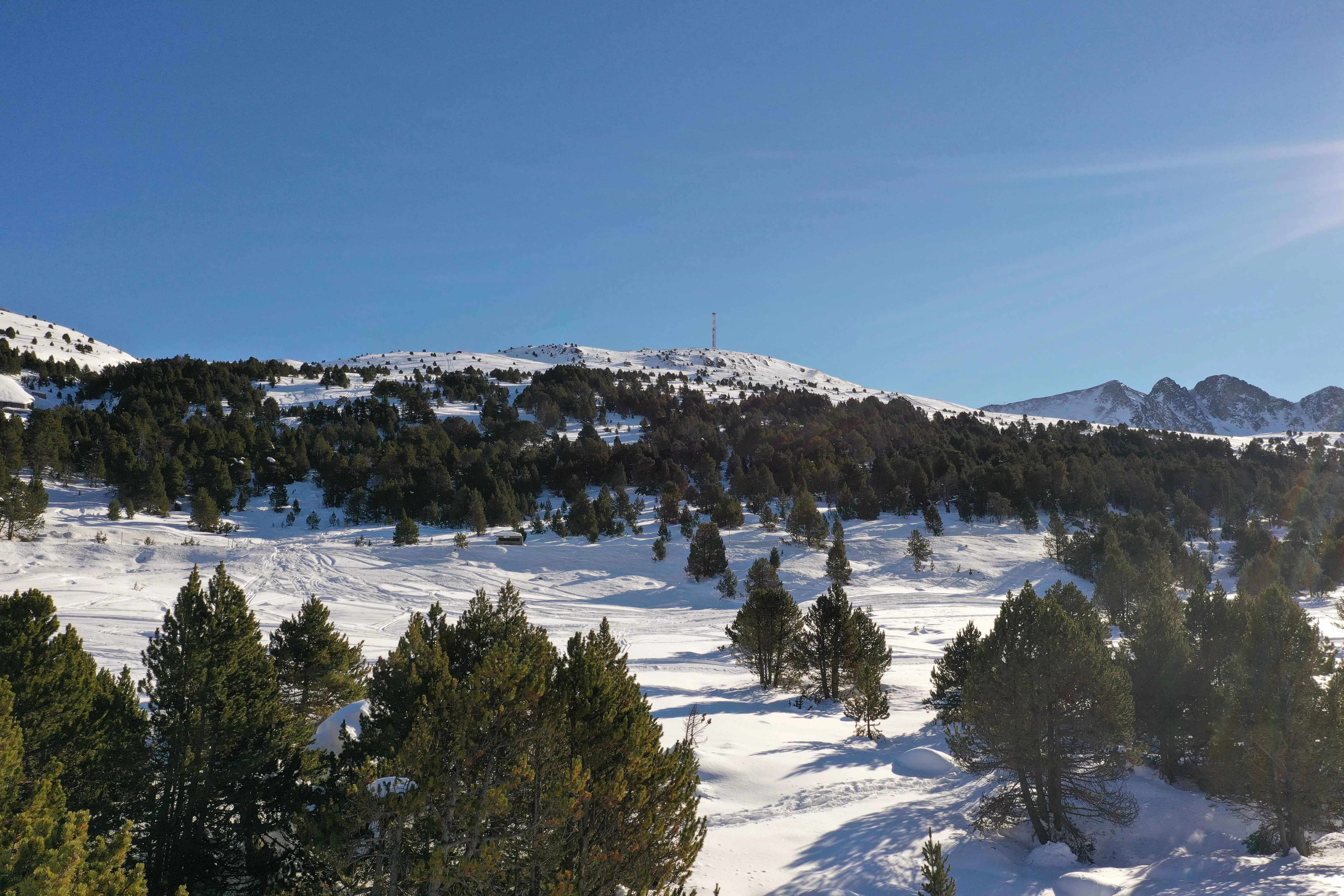 Snow-covered mountain landscape with scattered pine trees under a clear blue sky in the Pyrenees.