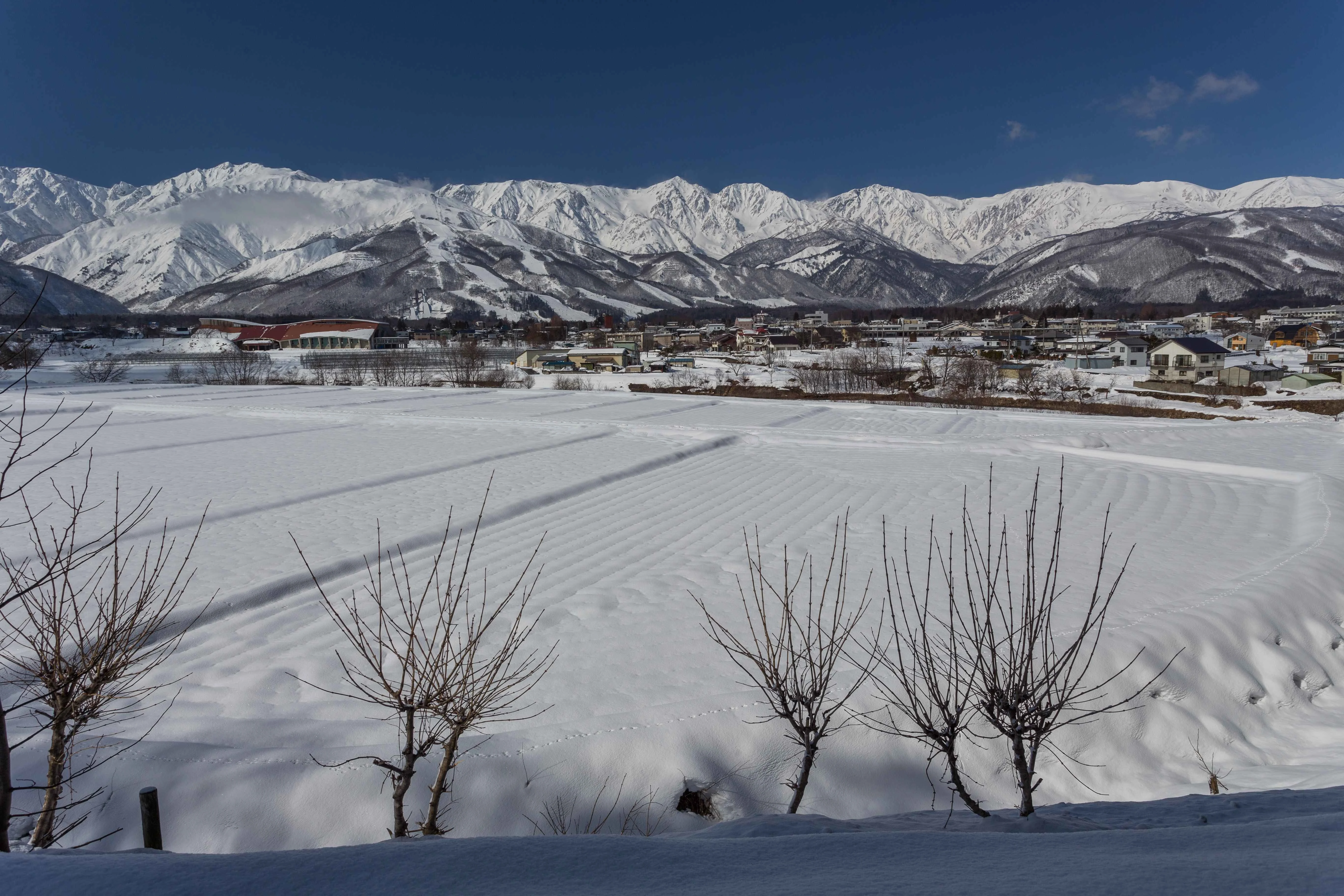 Snow covered village and rice fields with the Japanese Alps in the background under a clear blue sky.