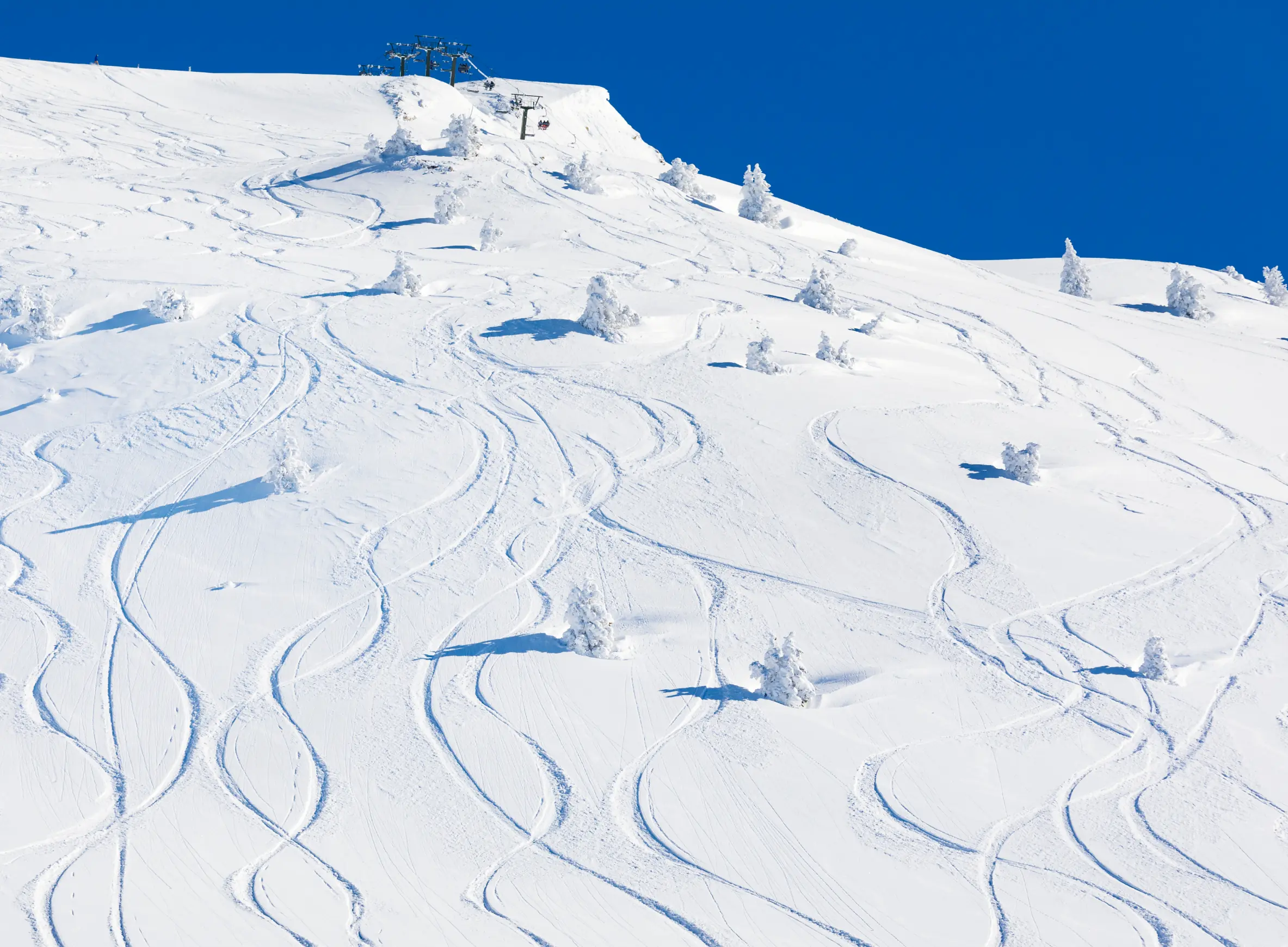 BONS PLANS VACANCES D’HIVER – ZONE A