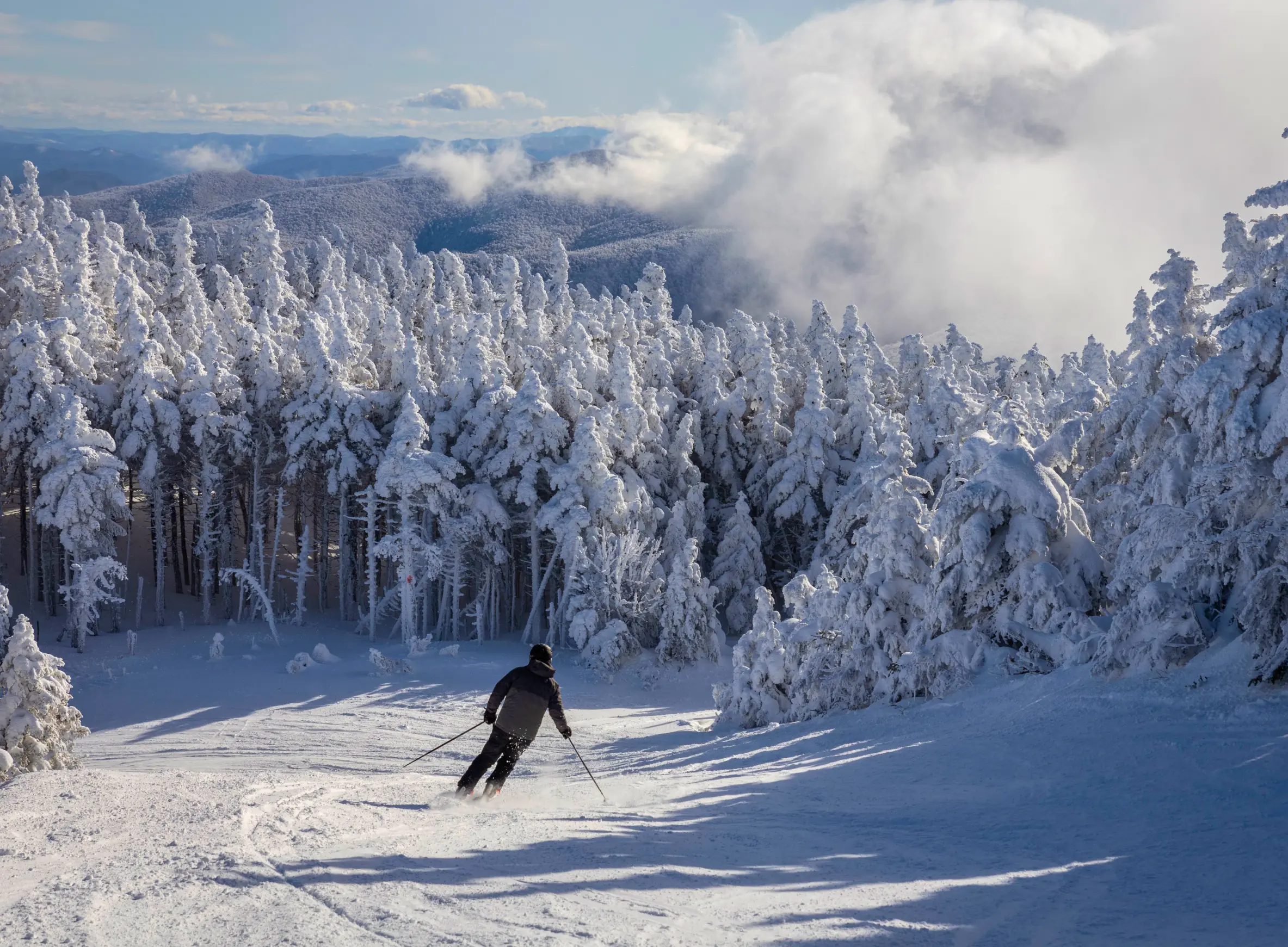 MARTIN LUTHER KING DAY DEALS