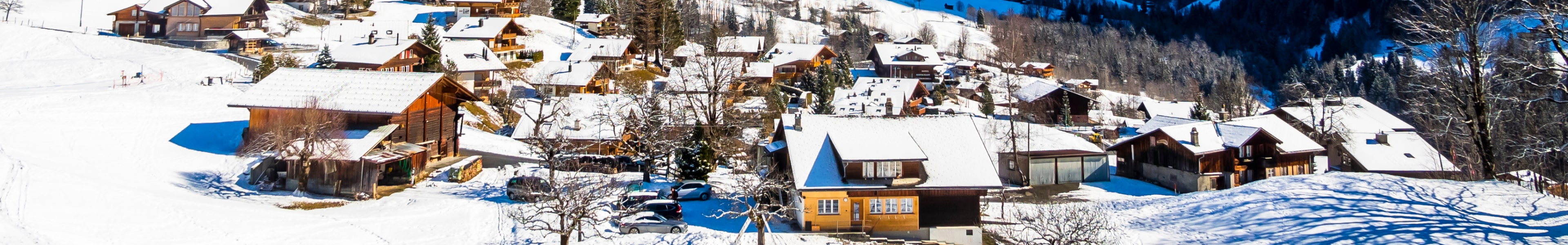 Grindelwald Wengen, winter photo 2