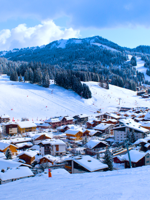 Les Gets, winter photo 3
