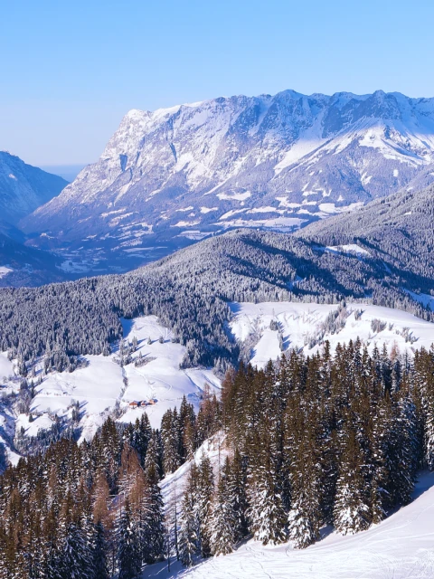 Wagrain, winter photo 3