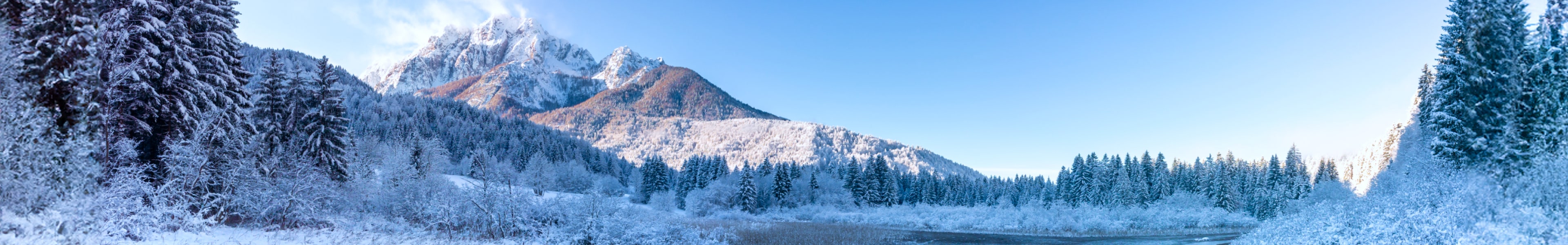 Kranjska Gora, winter photo 2