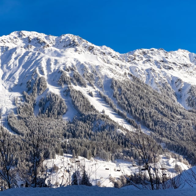 Klosters, winter photo 5