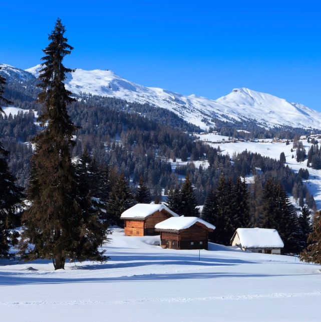 Lenzerheide, winter photo 5