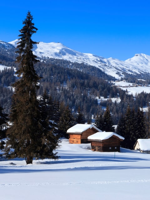Lenzerheide, winter photo 3